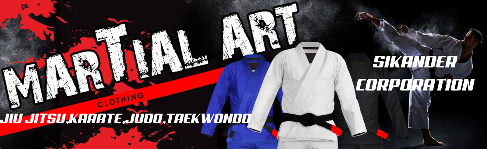 Martial Art Professional Classes Promotional Post